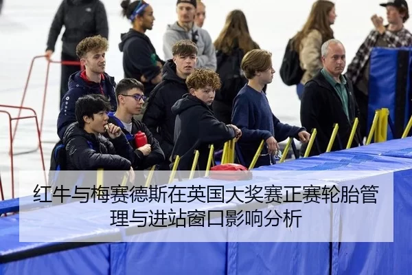 红牛与梅赛德斯在英国大奖赛正赛轮胎管理与进站窗口影响分析